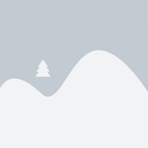 Sidabrinė eglutė vazone maksi